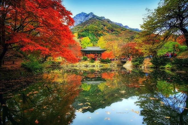 Vẻ đẹp thiên nhiên thơ mộng tại Hàn Quốc